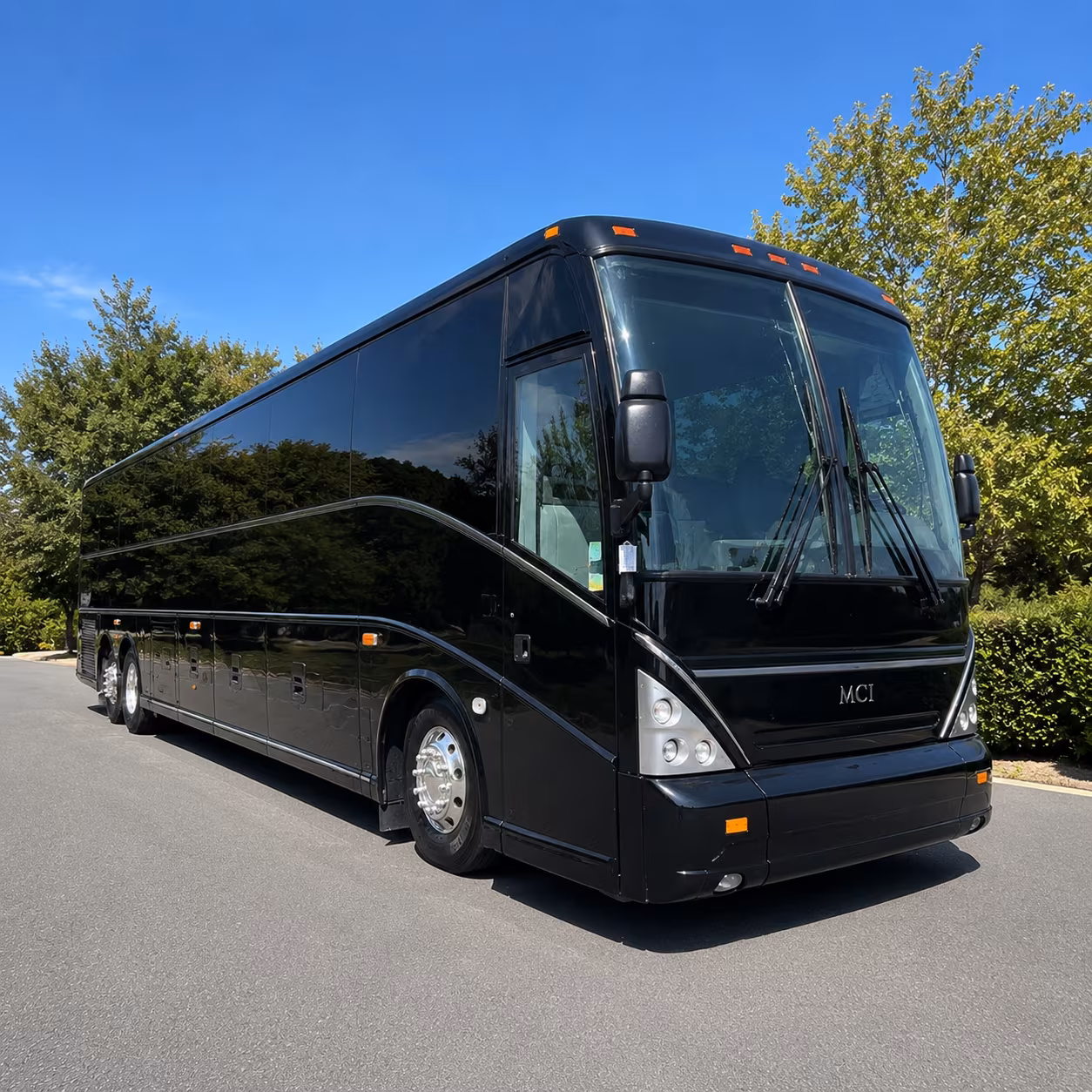 Alexandria Airport Shuttle & Transportation party bus exterior