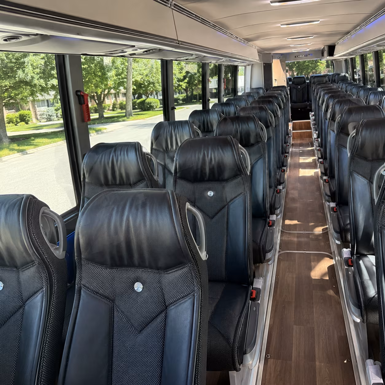 Alexandria Airport Shuttles & Transportation