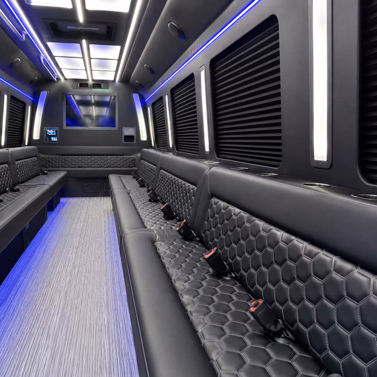 Alexandria Wedding Transportation party bus exterior