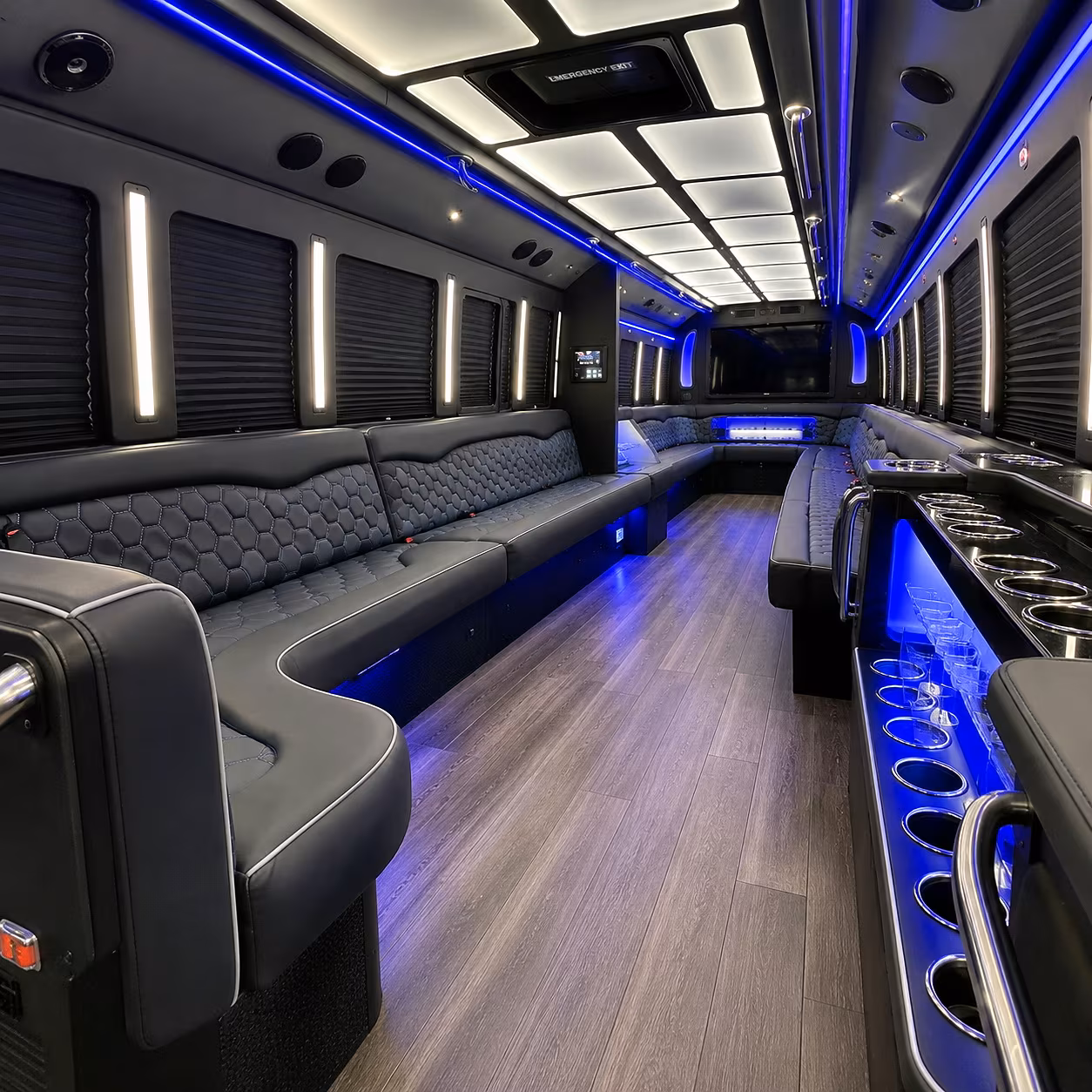 Alexandria Birthday Transportation