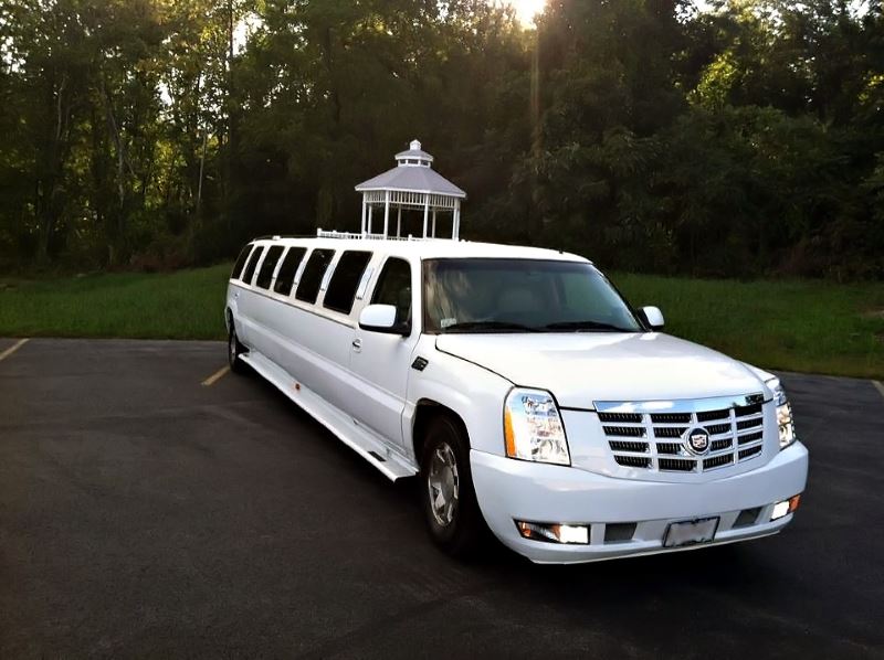 Alexandria 15 Passenger Limo